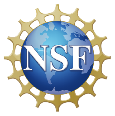 NSF Logo